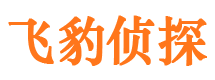 泸定市侦探调查公司